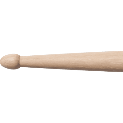 Signature Rod Morgenstein