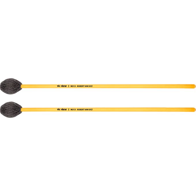 M313 Robert Van Sice médium