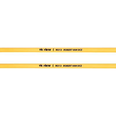 M313 Robert Van Sice médium